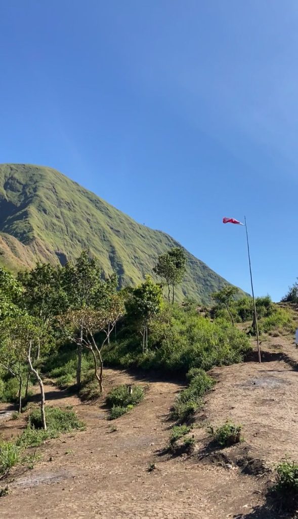 whatsapp image 2025 10 20 at 16.18.47 b075dd37