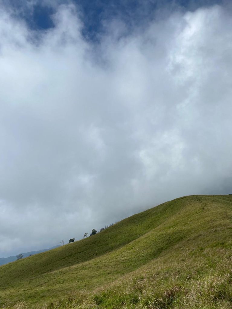 WhatsApp Image 2025 10 21 At 13.44.10 9b4f8e52 768x1024