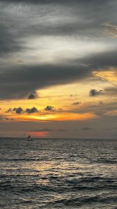 whatsapp image 2025 12 02 at 12.31.14 pm (1)