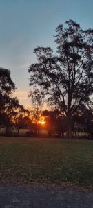 whatsapp image 2025 12 02 at 12.34.58 pm (2)